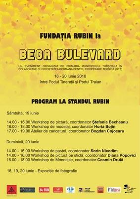 poze fundatia rubin la bega bulevard timisoara