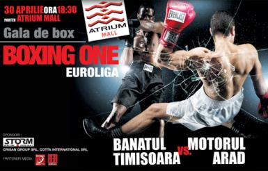 poze gala de box in arad