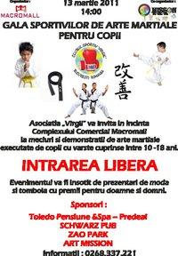 poze gala sportivilor de arte martiale pentru copii