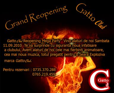 poze grand reopening gattoclub