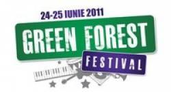 poze green forest festival