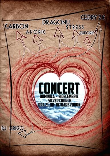 poze haarp cord la the silver church