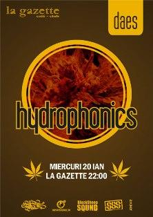 poze  hydrophonics cu daes in la gazette din cluj