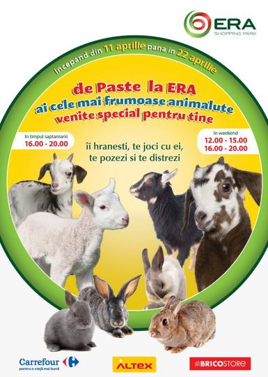 poze iepurasi ieduti si miei de paste la era