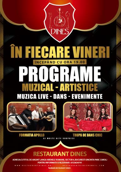 poze in fiecare vineri programe muzical artistice 