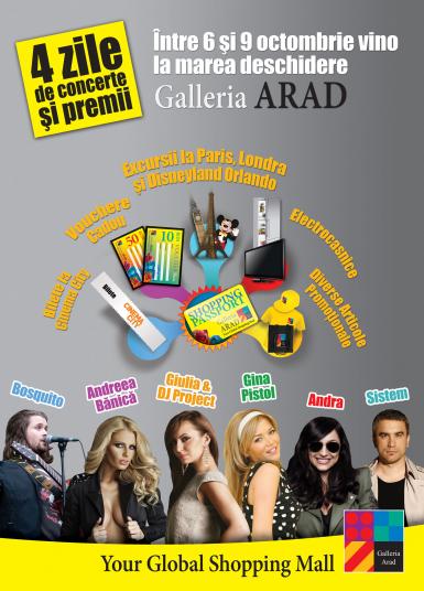 poze inaugurare galeria arad