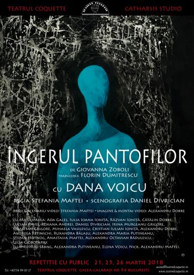 poze ingerul pantofilor
