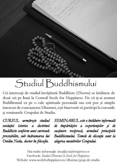 poze intalnirea de curs a grupului de studiu al buddhismului