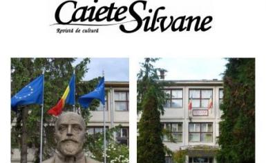 poze  invatamant si cultura la cehu silvaniei 