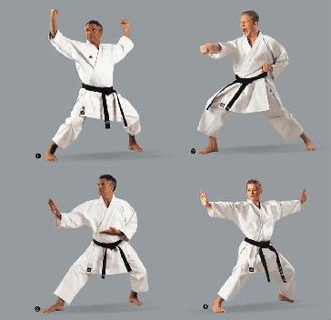 poze karate shotokan