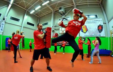 poze kickbox basics and more