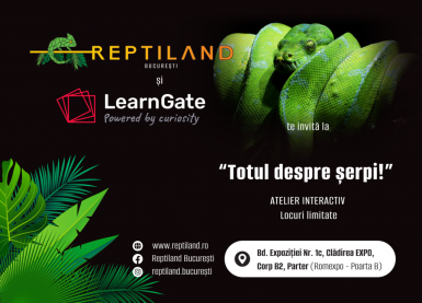 poze ateliere copii totul despre erpi reptiland bucure ti 