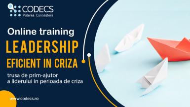 poze leadership in situatii de criza