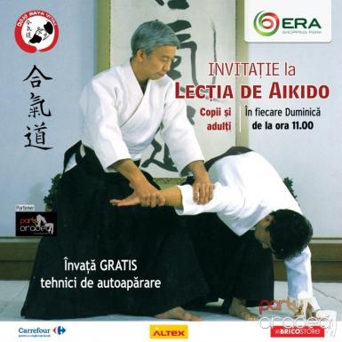 poze lectia de aikido