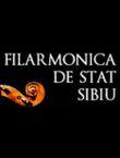 poze lectia de muzica cu orchestra de camera sunetul muzicii 