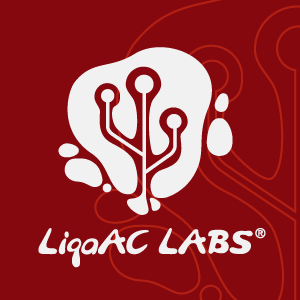 poze liga ac labs