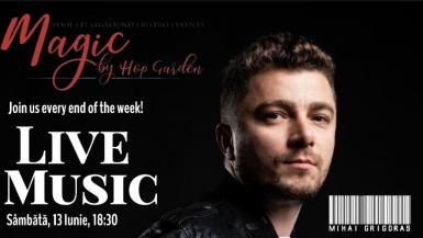 poze live music cu mihai grigoras la magic bistro