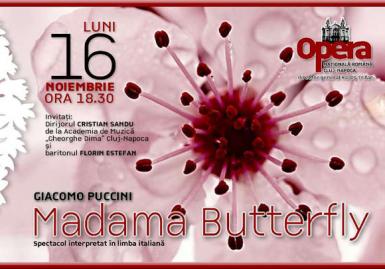 poze madama butterfly