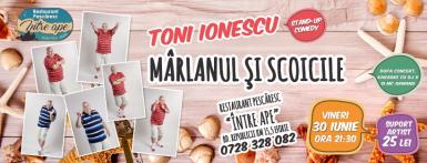 poze marlanul si scoicile