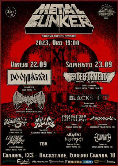 poze metal bunker xi
