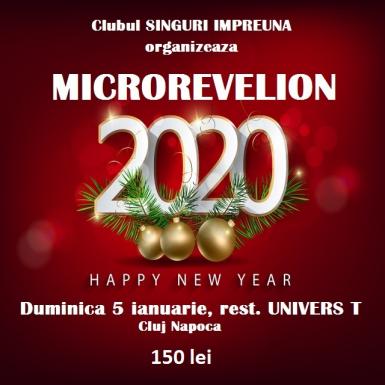 poze microrevelion happy new year