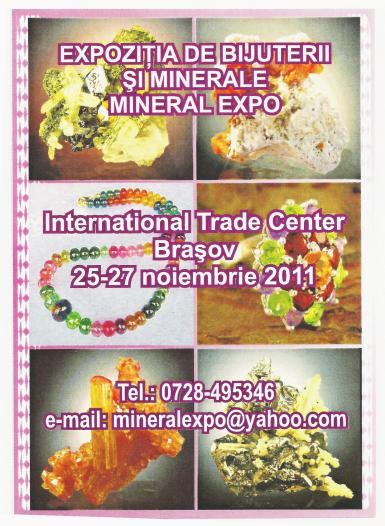 poze mineral expo ajunge la brasov 