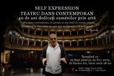 poze modul de teatru dans contemporan cu mario grosu pentru adulti
