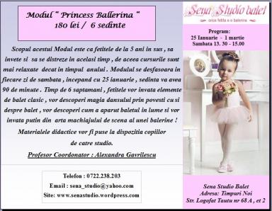 poze modul princess ballerina