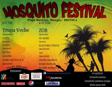 poze mosquito festival 2011 la gostinu