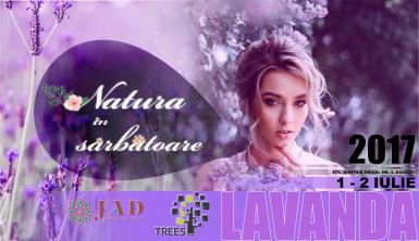 poze natura in sarbatoare lavanda