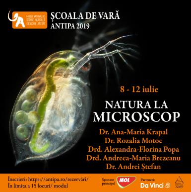 poze natura la microscop