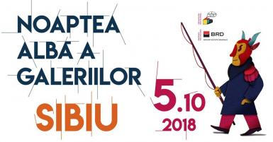 poze noaptea alba a galeriilor sibiu 2018