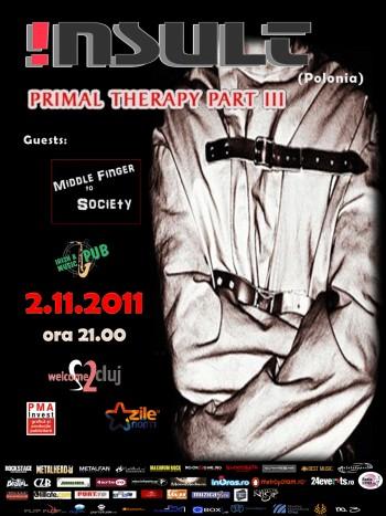 poze  nsult in irish music pub
