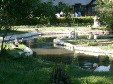 poze  o noapte la zoo ploiesti