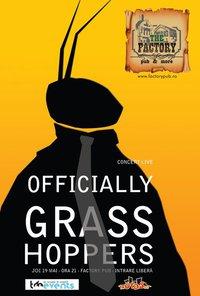 poze officially grasshoppers 