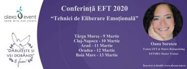 poze oradea conferin a tehnici de eliberare emotionala eft 