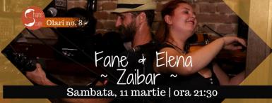 poze party cu fane elena de la zaibar