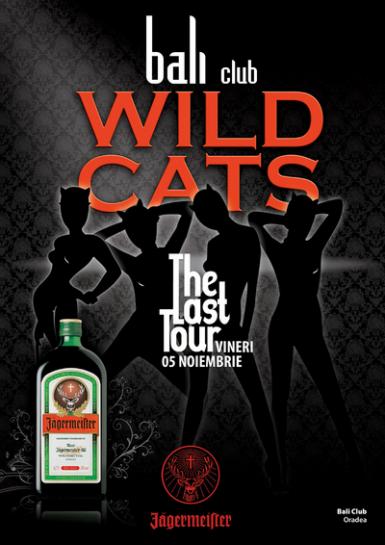 poze party wild cats