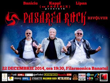 poze pasarea rock timisoara mon amour