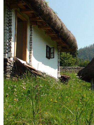 poze patrimoniu muzeul satului 