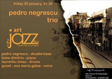 poze pedro negrescu trio in passage club