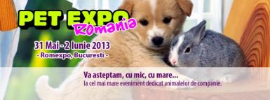 poze pet expo la romexpo