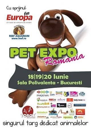 poze pet expo romania