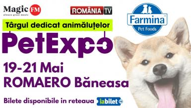 poze petexpo targul dedicat animalutelor