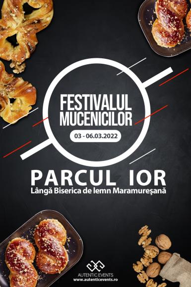 poze pia a volanta romania autentica festivalul mucenicilor