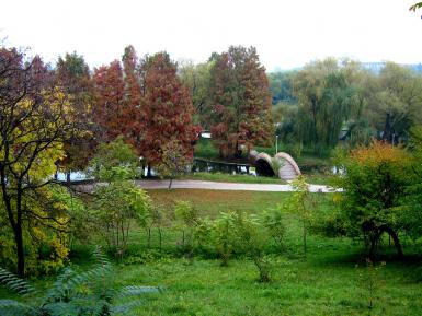 poze piky park