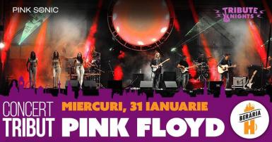 poze pink floyd all the hits live with pink sonic 