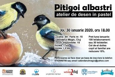 poze pitigoi albastri