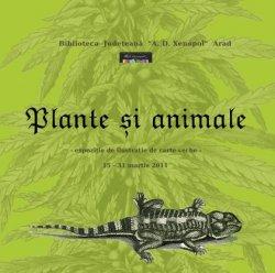 poze plante i animale