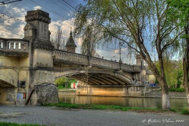 poze podurile timisoarei se bucura de noi gazde